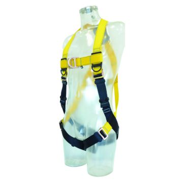 Picture of Series, Front & Rear D, PT Buckle, M/L