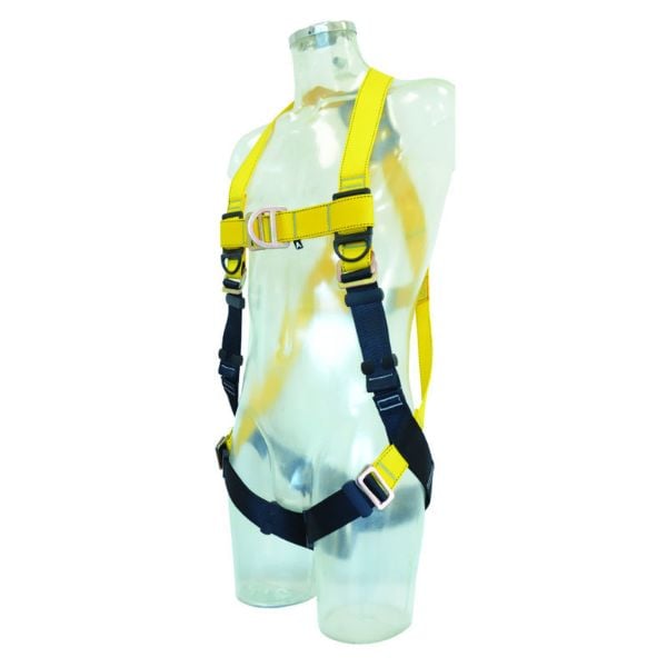 Picture of Series, Front & Rear D, PT Buckle, M/L