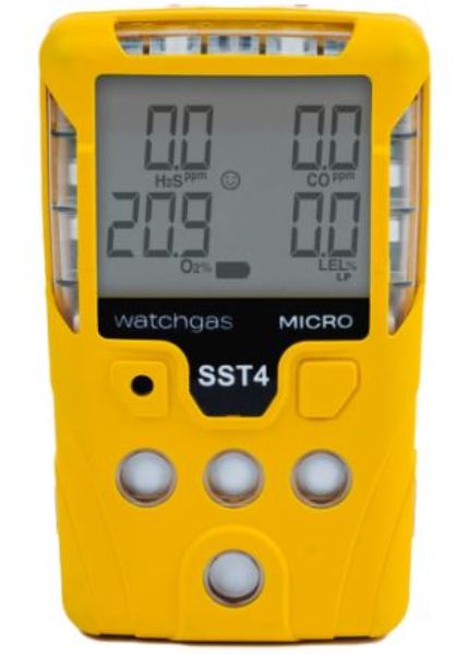 Picture of WatchGas Calibration Service 