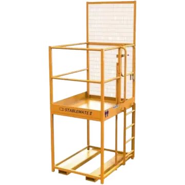 Picture of Acess Platform - Two  Person - Gated - Raised