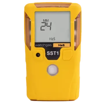 SST1