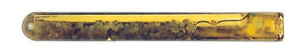 Picture of AMPOULE COLLINOX