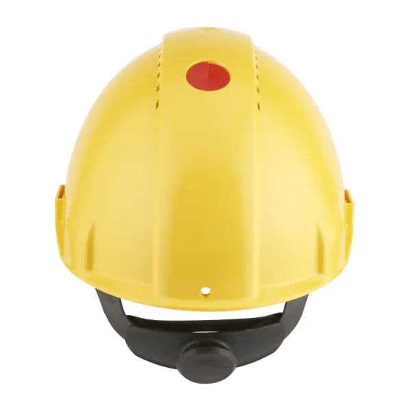 7000009701