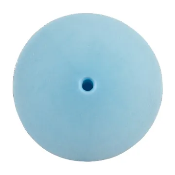 7000029731